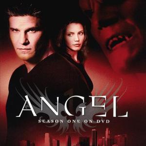 Angel: Season One on DVD